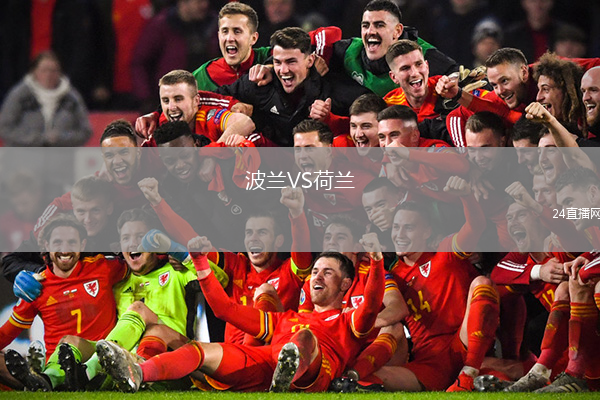 波兰VS荷兰